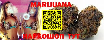 крисы Кунгур